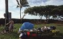 WT 0020 T03-04 Hawaii